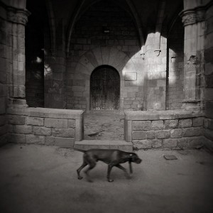 KONICA MINOLTA DIGITAL CAMERA