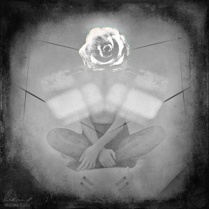 rose_by_marinacoric-d6lmtq6