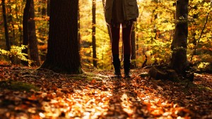 a_walk_through_the_forest_by_rona_keller-d70np7q