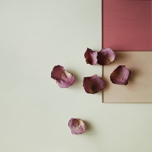 -iconkaramelo-serenity- dead flowers_by_karamelo_serenity-d8p335z