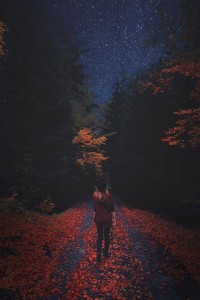 1004955_550459481727534_612627034_n