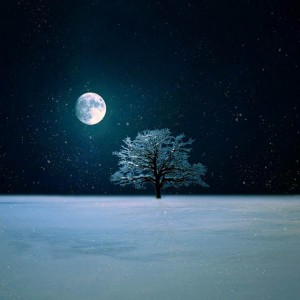 winter_night_live_wallpaper_by_kokoszkaa-d6y64wm
