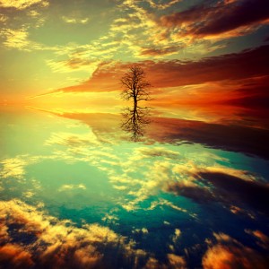 69a66c8f0c1cfdca6758fa19b0b69779-d7asni4