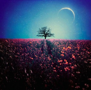 fantasy_by_kokoszkaa-d6vq3au