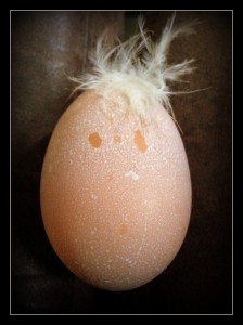 eggy_warhol_by_notnowcato-d87j632