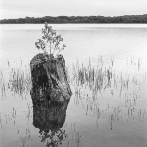 Jon Damaschke - Unitited 17