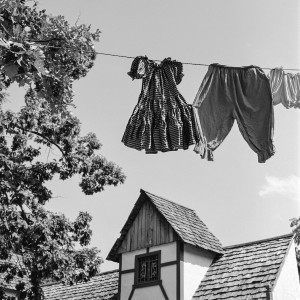 Jon Damaschke - Untitled 29