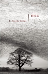 rise_cover