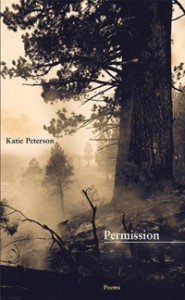 Permission_Cover