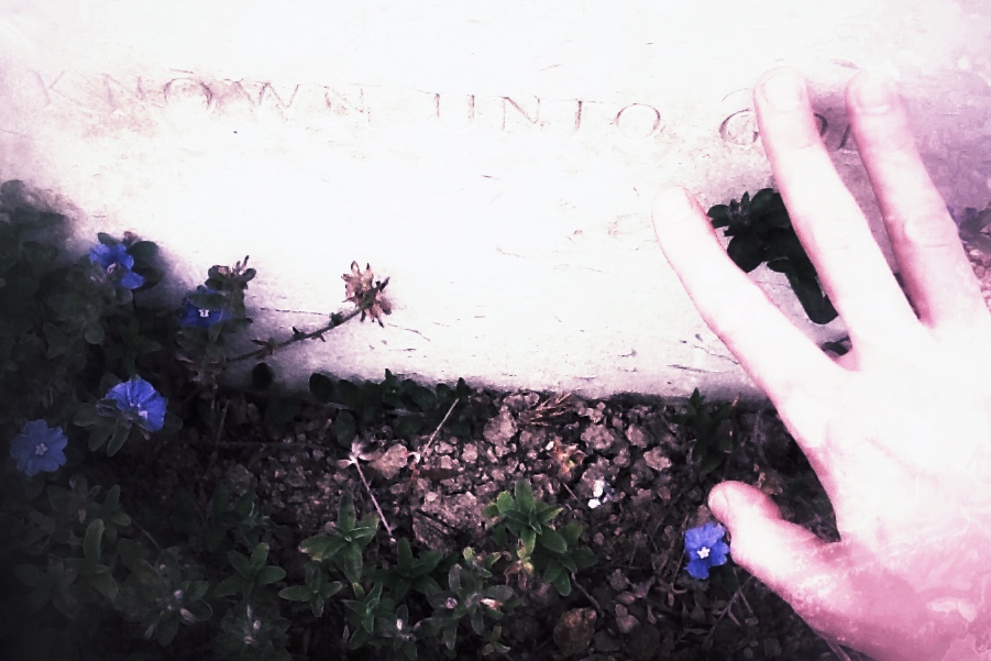 He went first. He said I'd find him.