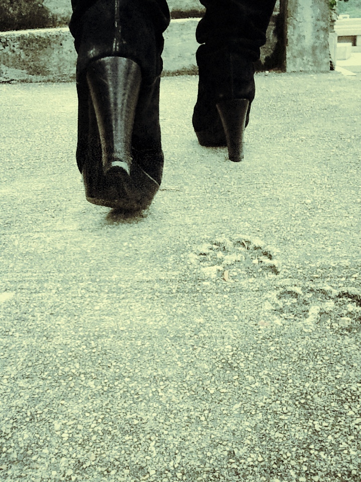 I dare myself to go on, alone.